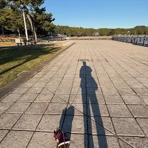 一緒に歩いた道